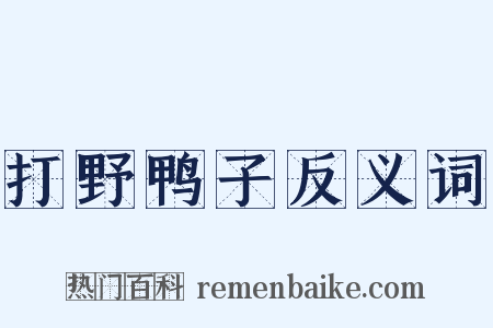 打野鸭子反义词是什么意思的图片